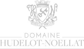 Alain Hudelot-Noellat