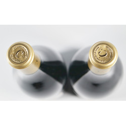 Domaine de la Commaraine Clos de la Commaraine Monopole Pommard Premier Cru 2019