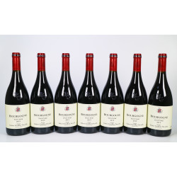 Domaine Robert Groffier Pere & Fils Bourgogne 2019