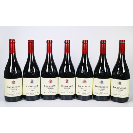Domaine Robert Groffier Pere & Fils Bourgogne 2019