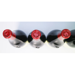 Domaine Robert Groffier Pere & Fils Bourgogne 2019
