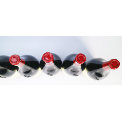 Domaine Robert Groffier Pere & Fils Bourgogne 2019