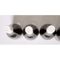 Domaine Jean Philippe Fichet Bourgogne blanc VV 2013 (6x75cl, OC)