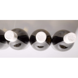 Domaine Jean Philippe Fichet Bourgogne blanc VV 2013 (6x75cl, OC)