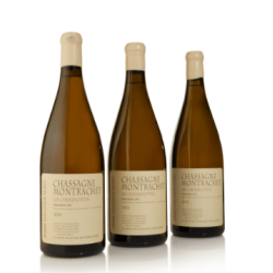 Pierre-Yves Colin-Morey Les Chenevottes Chassagne-Montrachet Premier Cru 2010