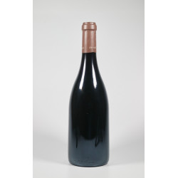 Domaine Arlaud Aux Combottes Gevrey-Chambertin Premier Cru 2009
