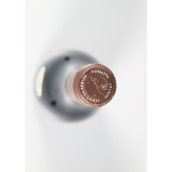 Domaine Arlaud Aux Combottes Gevrey-Chambertin Premier Cru 2009